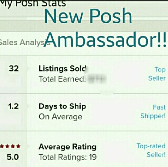 Top Seller, Top Rated, Fast Shipper - Picture 5 of 8